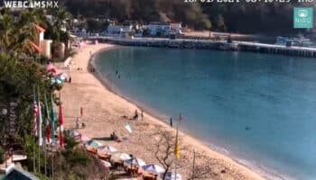 Así se sintió el sismo de magnitud 5 que sacudió Oaxaca | Video