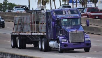 Choferes mexicanos se van a Estados Unidos por mejores salarios ¿Cuánto más ganan?