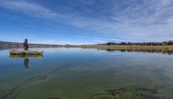 Crisis en Cutzamala | Artículo de Ross Barrantes