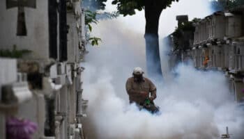 ¿Son seguras las nebulizaciones contra el dengue?, esto es lo que dice un científico