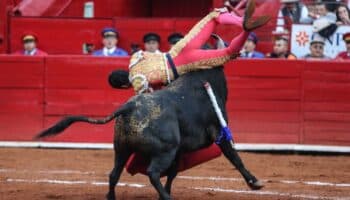 Torero sufre cornada en la Plaza México