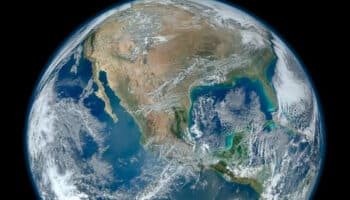 ¡Misterio resuelto! Determinan momento exacto de la mayor extinción masiva de la historia