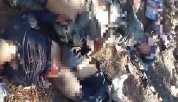 AMLO confirma 12 muertos en enfrentamiento armado en Guerrero