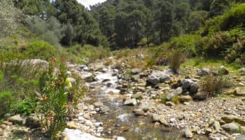 El cambio climático está alterando el caudal de los ríos de Europa, Rusia y América y amenaza la seguridad hídrica