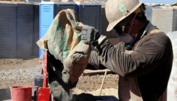 Buscan albañil en EU; ofrecen sueldo de casi $50 mil mensuales