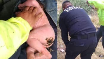 Hallan a bebé abandonado en lote baldío en Metepec