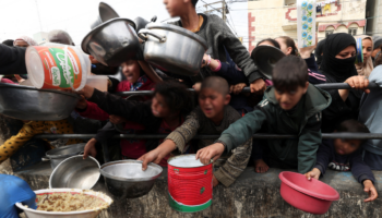 OMS: Desplome nutricional en Gaza, sobre todo en niños, no tiene precedentes