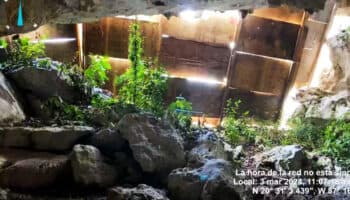 Ahora tapan con madera acceso a caverna bajo el Tren Maya