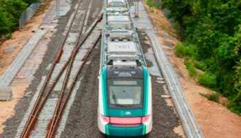 El problema del Tren Maya es la ilegalidad y los delitos ambientales: DChristy | Entérate