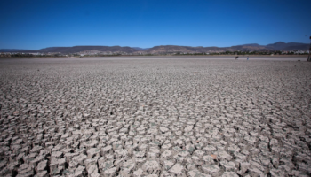 Más del 83 % de municipios en México, en sequía: HR Ratings