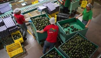 México finaliza petición de EU sobre caso de derechos laborales en empresa de Michoacán