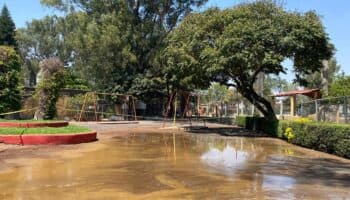 Zoológico de Morelia denuncia que derrame de agua contaminada pone en riesgo a más de 50 animales