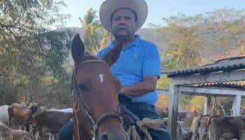 Candidato del PRI y su esposa, entre los cuerpos desmembrados en Acapulco