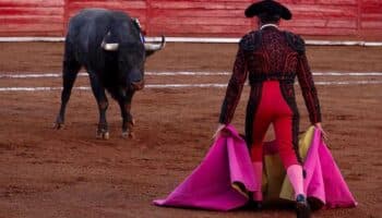 ¿Las corridas de toros llegan a su fin? Esto dijo Sheinbaum sobre protección animal