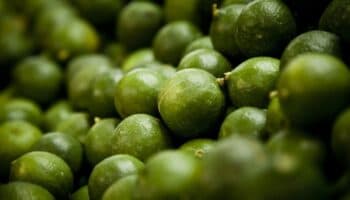 ¿Qué enfermedades ayuda a prevenir el limón?