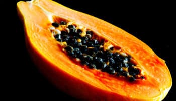 ¿Qué enfermedades ayuda a prevenir la papaya?