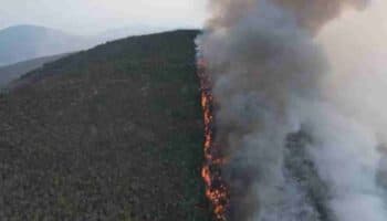 Se reactiva incendio en Tepelmeme y afecta reserva natural protegida de Oaxaca