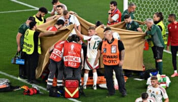 Euro Alemania 2024: Enciende Barnabás Varga todas las alarmas | Video