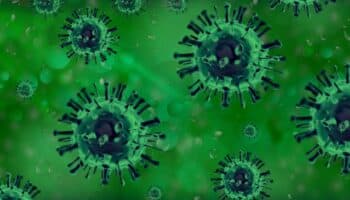 Salud descarta riesgo de contagio entre la población de México tras caso de gripa aviar