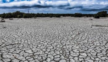 La inversión en abasto de agua en México debe proyectarse hasta el 2050: Consejo Consultivo del Agua | Entérate