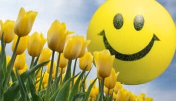 ‘Yellow Day’, el día más feliz del año