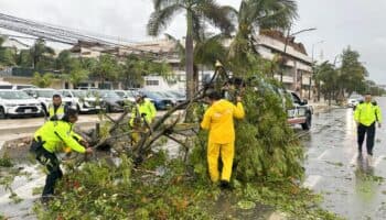 Beryl causó 133 incidentes de daños en autopistas: SICT