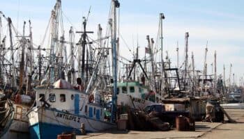 Canainpesca denuncia crisis por inseguridad e ilegalidad en la industria pesquera en México | Video