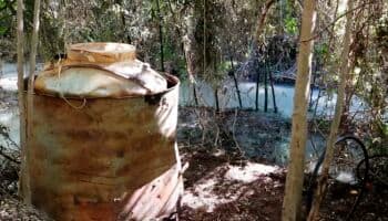 Químicos de narcolaboratorios van a canales y arroyos que llegan a comunidades: Jesús Bustamante | Entérate