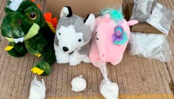 Guardia Nacional asegura droga oculta en muñecos de peluche en Sinaloa