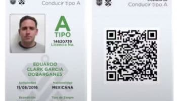 ¿Cómo descargar la licencia de conducir digital? | Paso a paso
