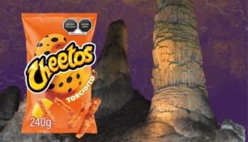 Bolsa de cheetos altera el ecosistema de Parque Nacional en EU