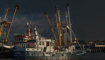 Estados Unidos sanciona a México por pesca ilegal y prácticas dañinas para especies protegidas