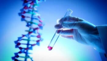 Piden traer de México muestra de ADN para identificar víctima del franquismo