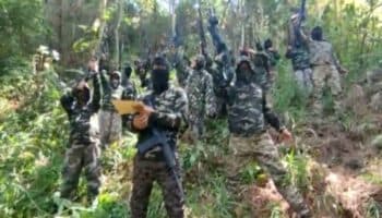 En Chiapas, ante la inacción de las autoridades, un cártel te libera de otro: Amado Avendaño | Entérate