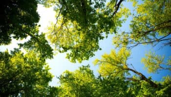 Proponen que Plan Nacional de Desarrollo lleve una "S"