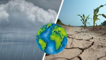 No solo son lluvias, es el cambio climático | Artículo de David Ordaz