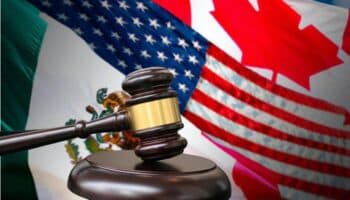 Agencia que sustituye a Cofece e IFT, sí viola el T-MEC: Irene Levy