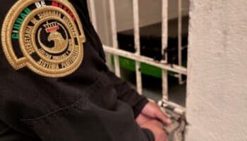 ¿Cuál será el menú del 'Torito' esta Navidad y Año Nuevo?