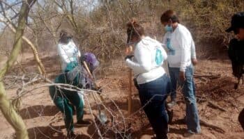 Localizan y procesan 11 fosas clandestinas en Sonora