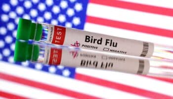 Se confirma la primera muerte humana por gripe aviar en Estados Unidos