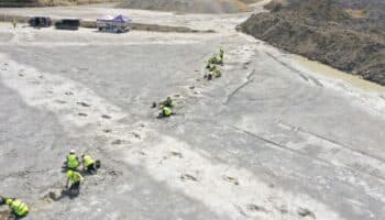 Video | Hallan 'autopista' de dinosaurios de hace 166 millones de años en Reino Unido