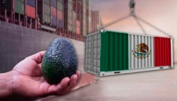 Así se verán afectados los consumidores estadounidenses por los aranceles a México y Canadá