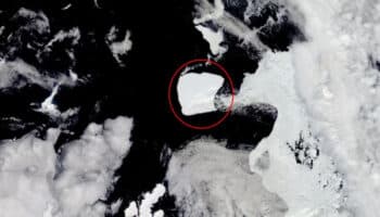Se da el mayor iceberg del mundo un descanso en su travesía | Video