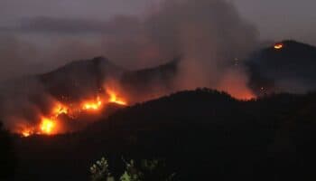 Sospechan de incendios provocados en Tepoztlán; piden castigo ejemplar | Entérate
