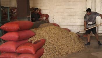 Incertidumbre arancelaria ya provoca "inflación de alimentos" en México: FIDA de la ONU