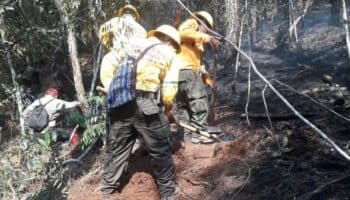 Reportan 11 incendios activos en Oaxaca; solo uno ha sido liquidado