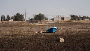 La mitad de las presas más grandes de México tiene menos agua que en los últimos 30 años