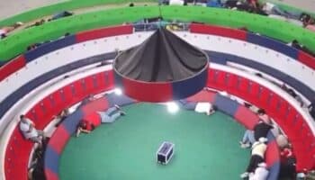 Video | Hombres disfrazados de militares matan a 12 personas durante pelea de gallos en Ecuador