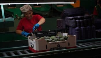 Más empleo y mejores salarios, la ruta para superar la pobreza: Coparmex