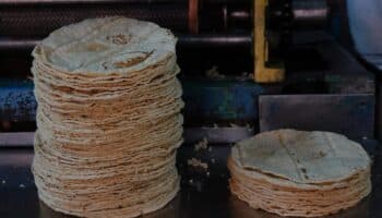 Gobierno de México anuncia acuerdo para estabilizar y reducir el precio de la tortilla